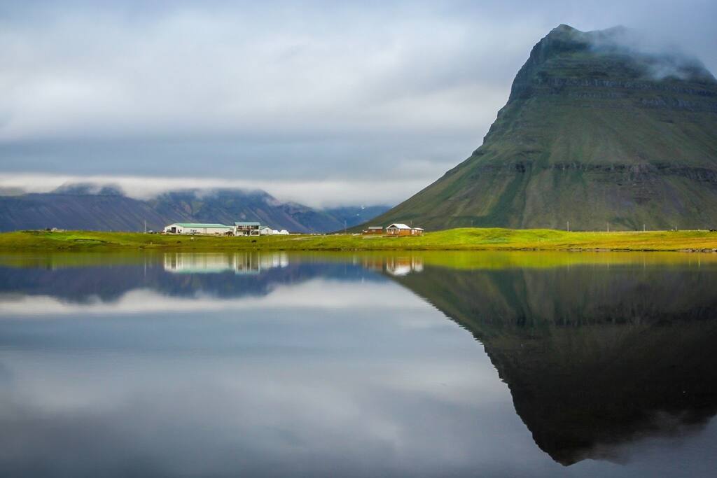Berg 2 horse farm live.