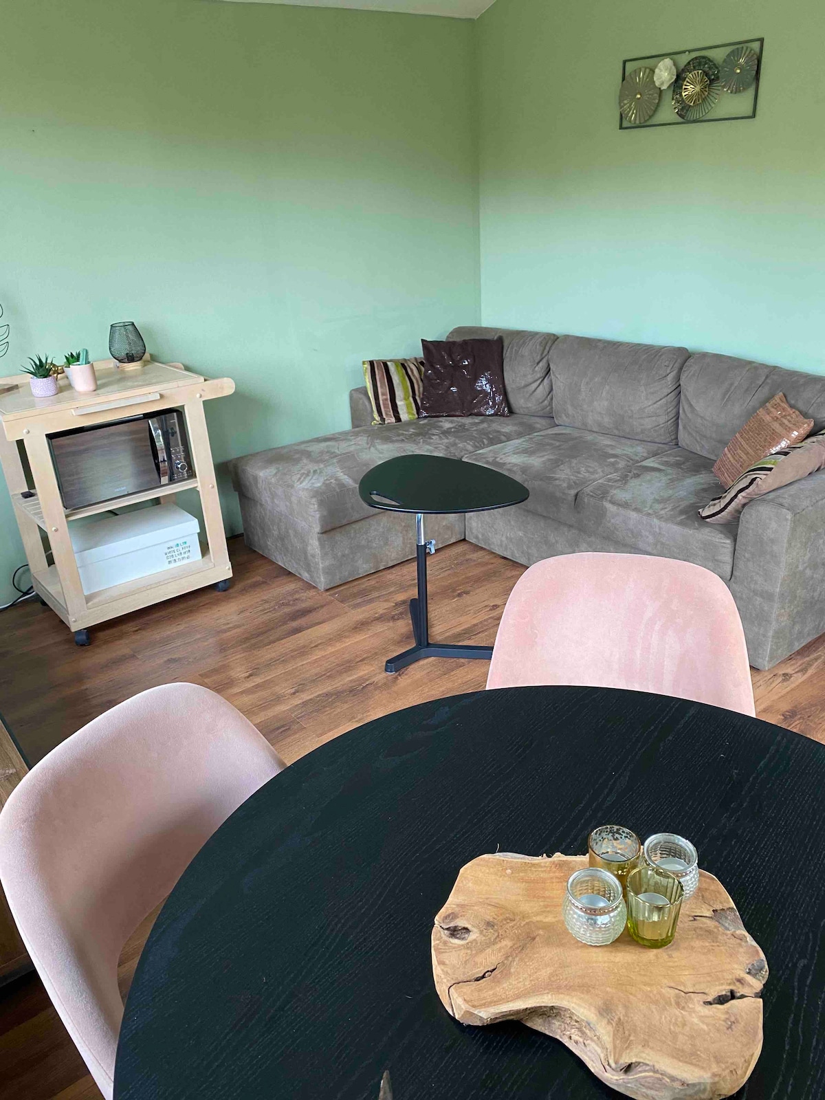 Successful Airbnb property: Tiny house Schoorl near beach in Warmenhuizen