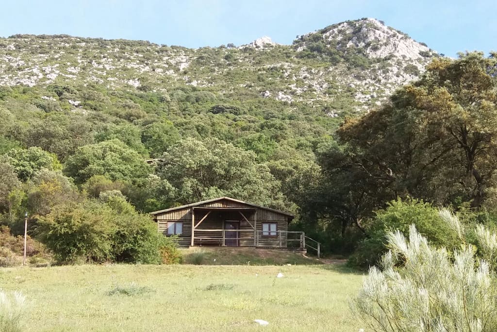 Entorno cabaña