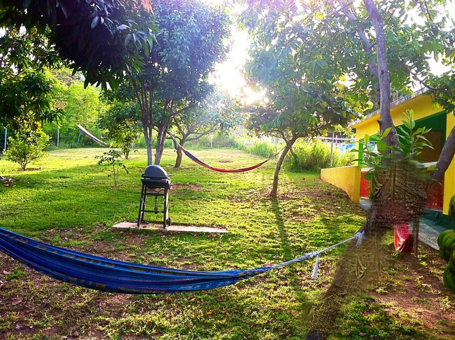 the back yard, grill, hammocks, and good vibes.