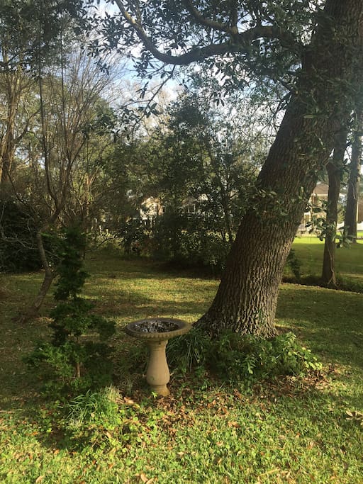 Bird life abounds!