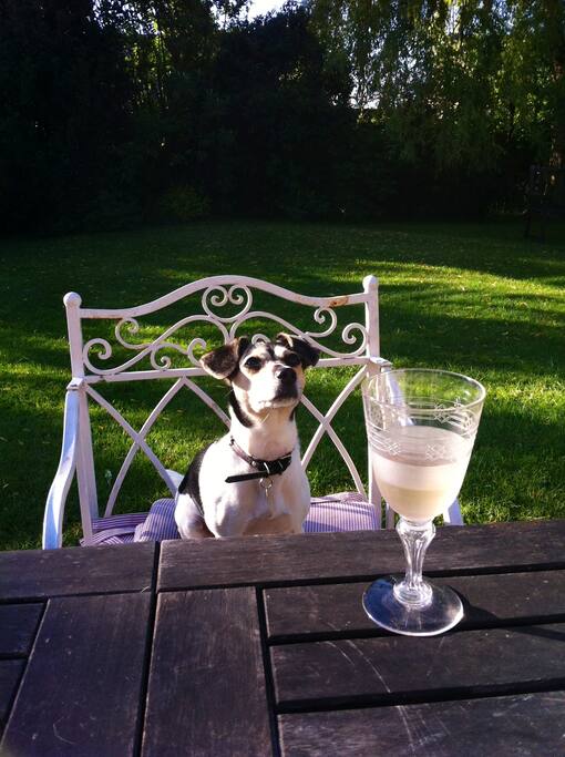 A chilled glass of white wine in the garden helps one to unwind.