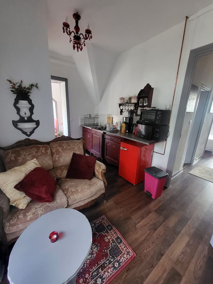 Appartement Exceptionnel Bâtisse Xix Siecle 🏰🌷⛰ - Le Puy-en-Velay