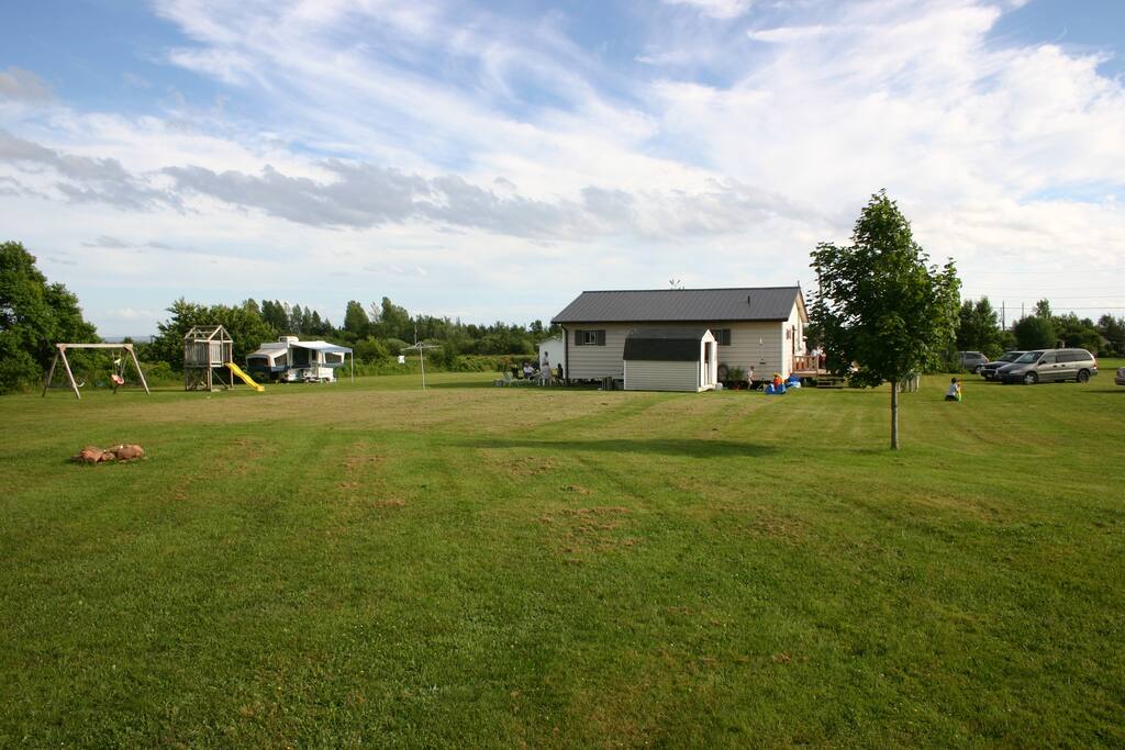 Backyard