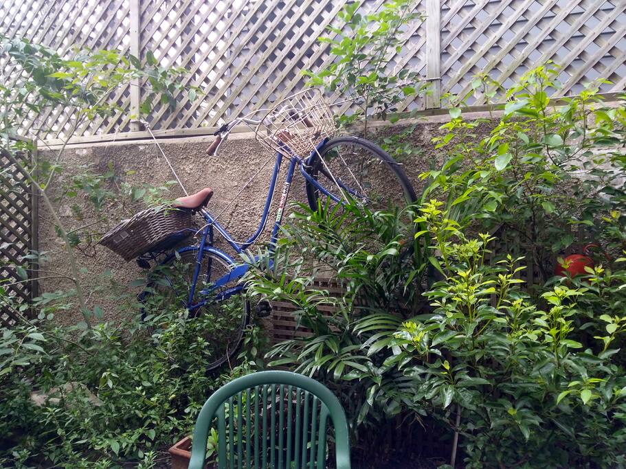 Our green backyard