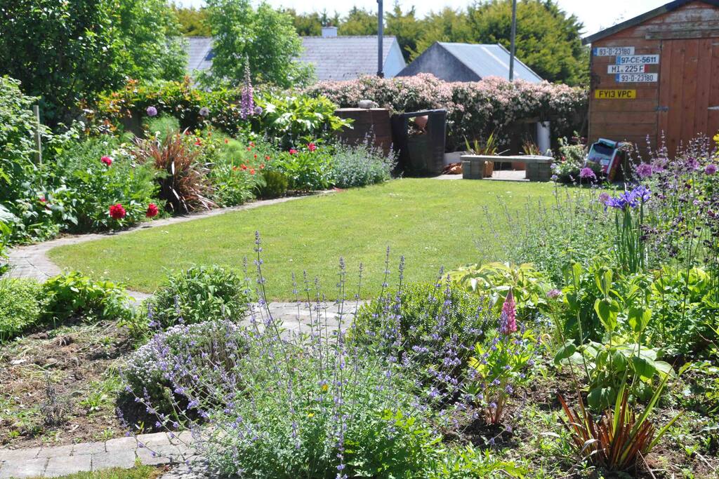 Garden in summer