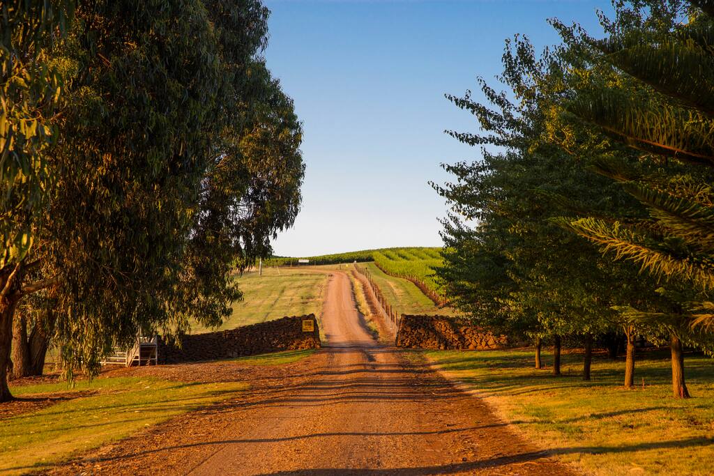 wow nice driveway