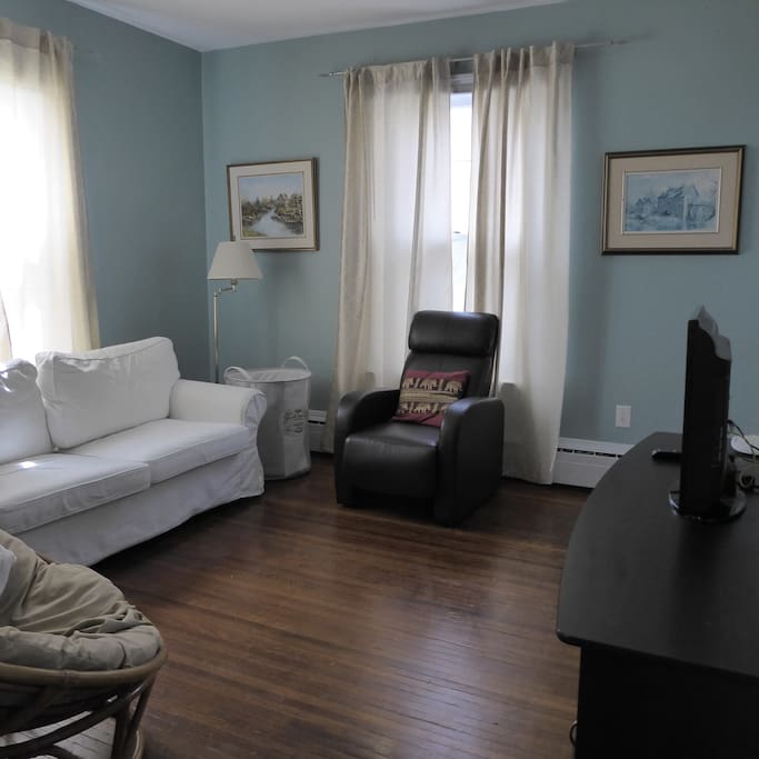 Living room with sofa bed