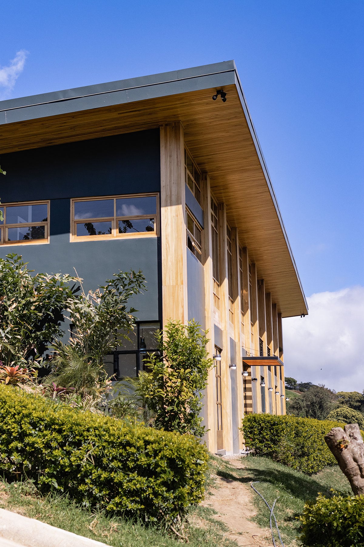 The exterior of Casa Brumas is highlighted by large, floor-to-ceiling windows and wooden accents, showcasing a modern design. Lush greenery and neatly trimmed hedges enhance the setting against a bright blue sky, offering a glimpse of the tranquil natural surroundings.