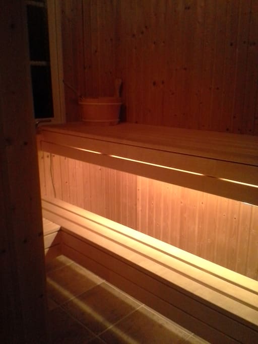 Finish Sauna with window.