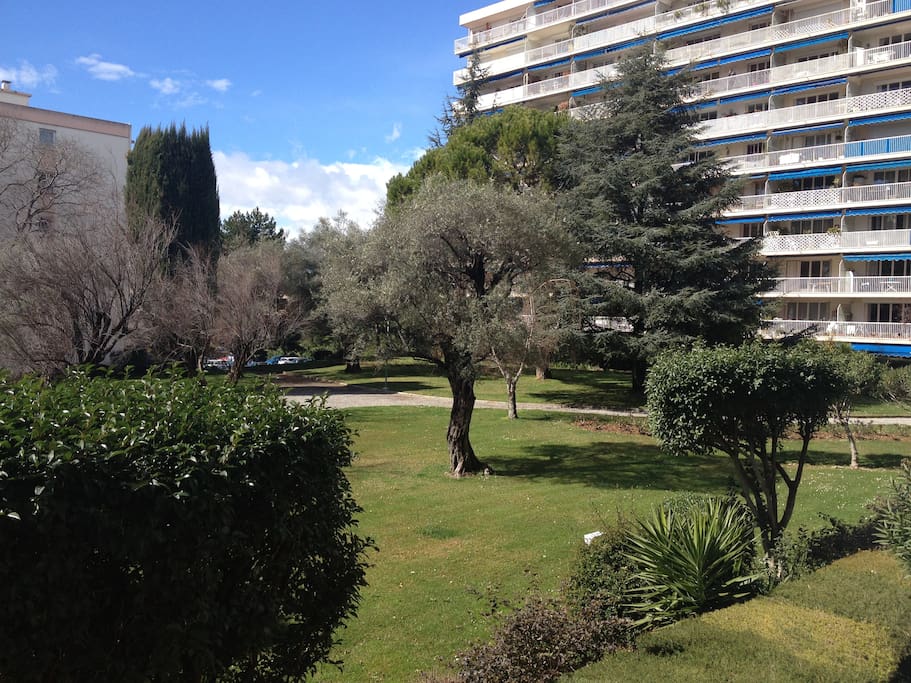 park