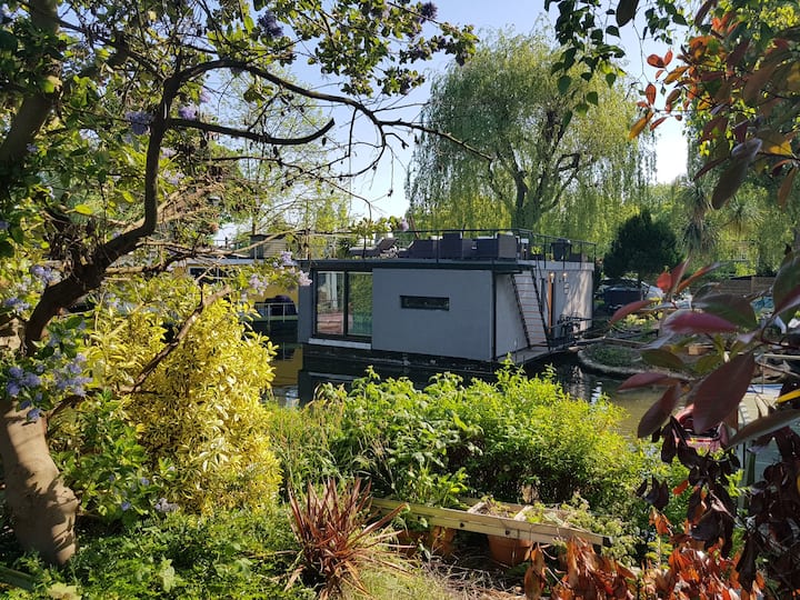 Floating Home near Hampton Court Palace