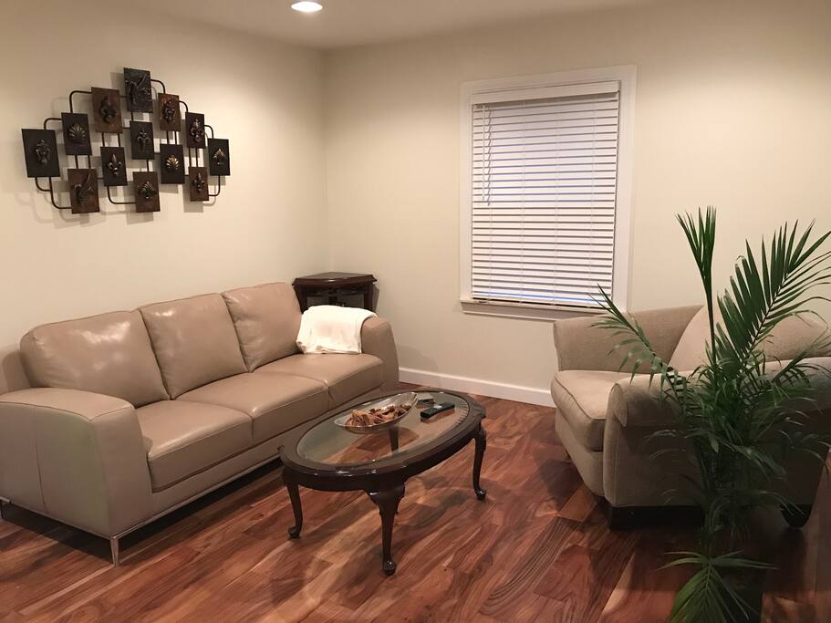 Living room with leather sofa