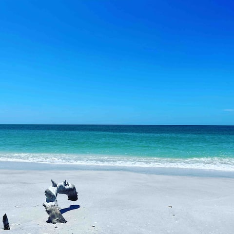 Steps to Beach Captiva Includes CLUB & Golfcart