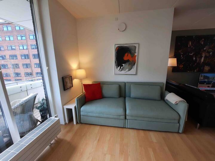 2 divane tek në ambientin e ndenjjes mund të flenë edhe 2 vizitorë të tjerë