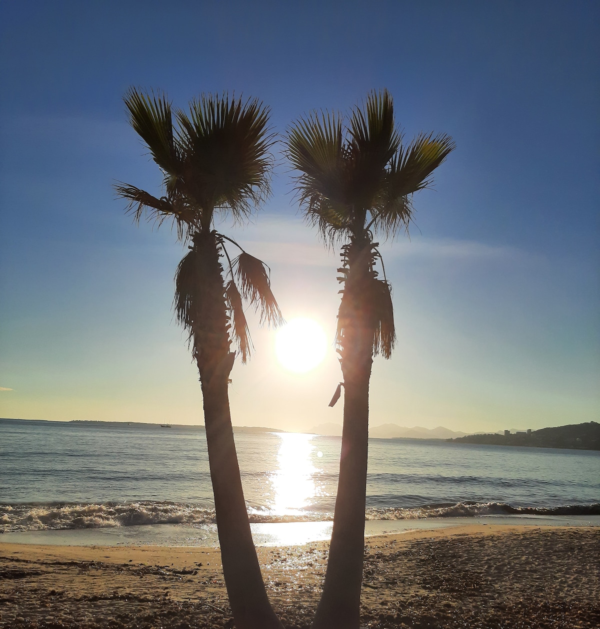 Two palm trees frame a sunset view over the calm water, reflecting light across the sandy beach. The sun casts a warm glow, illuminating the serene landscape and creating a peaceful atmosphere conducive to relaxation.