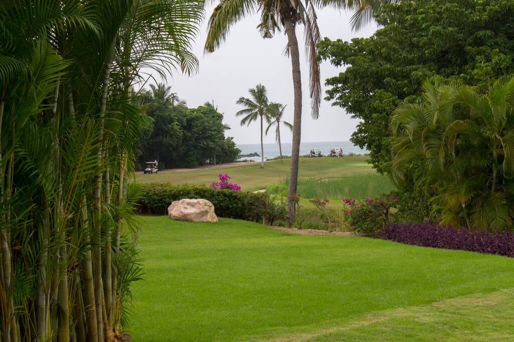 Lush landscape abounds!