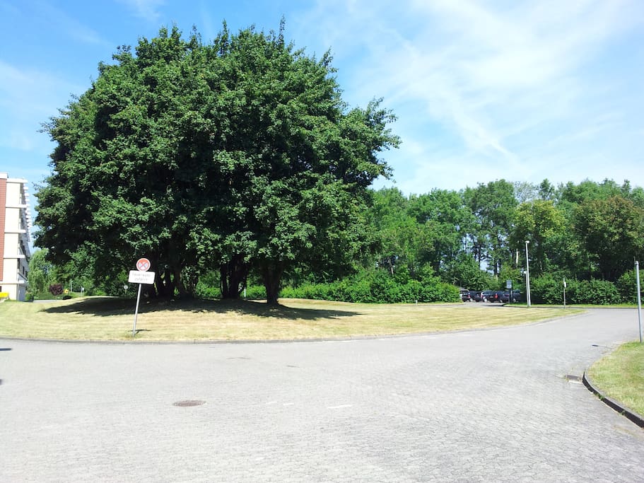 Schöner Park vor dem Haus