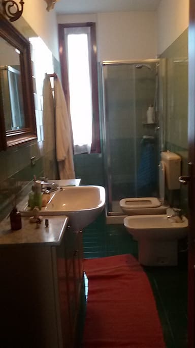 Large private bathroom with shower