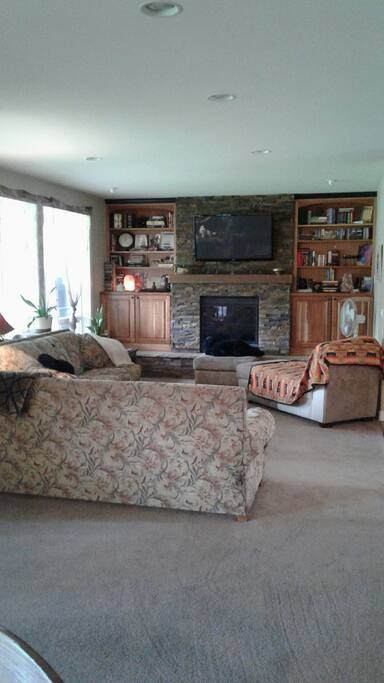 Shared Downstairs Living room