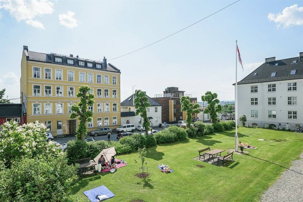 The garden in front of the buildings is great for relaxing on a sunny day.