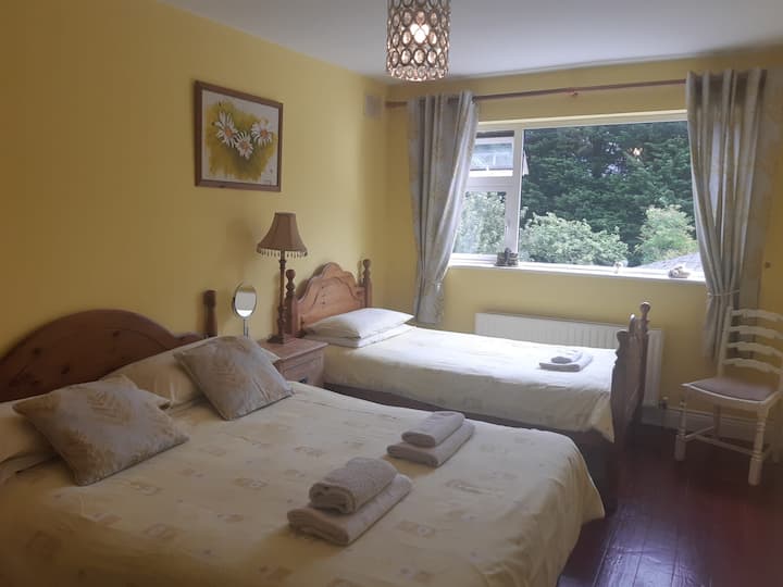 Welcoming Edwardian Family Home With Free On-site Parking And Wifi. - Dublin, Ireland