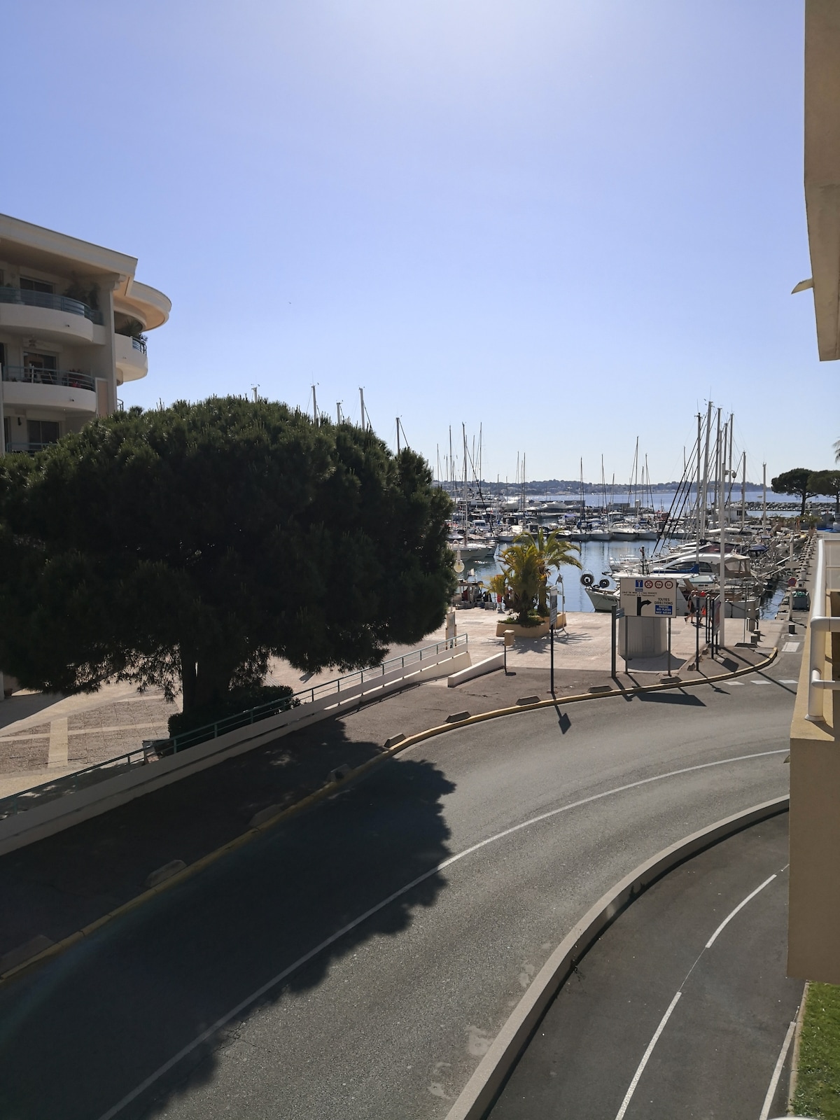 The image captures a view of a marina, featuring multiple sailboats docked against a clear blue sky. A broad tree is seen in the foreground, and a road curves around the marina, leading towards the entrance of the harbor area.