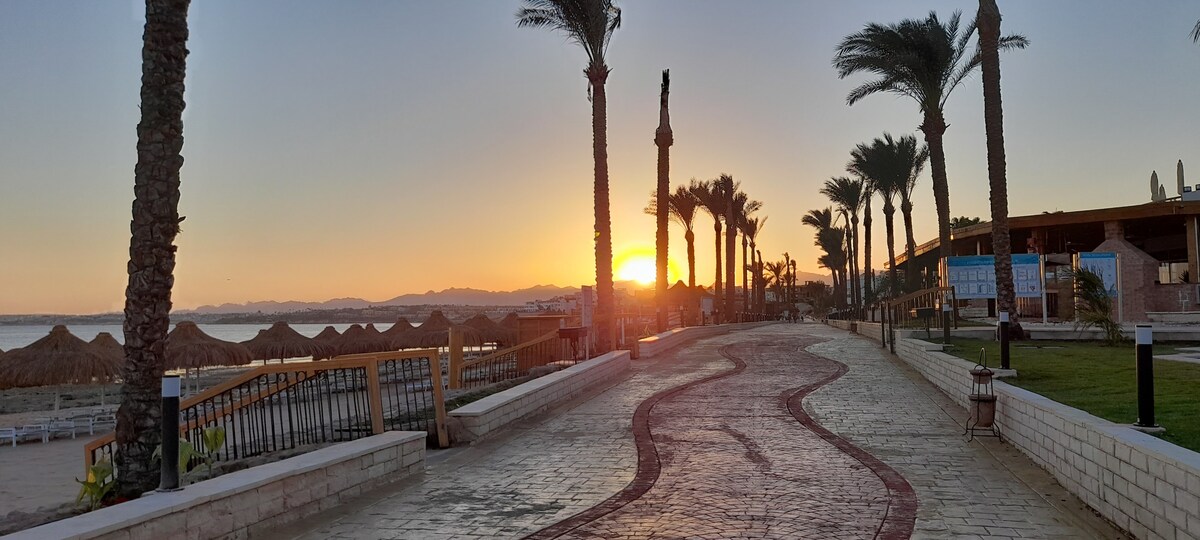 A sunlit pathway is lined with palm trees, leading towards the beach. Thatched umbrellas are visible in the foreground, while a warm glow from the setting sun casts a peaceful light over the scene. Gentle waves are hinted at in the distance.