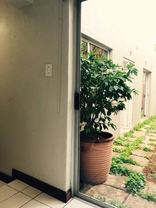 Sliding door to the garden from the room.