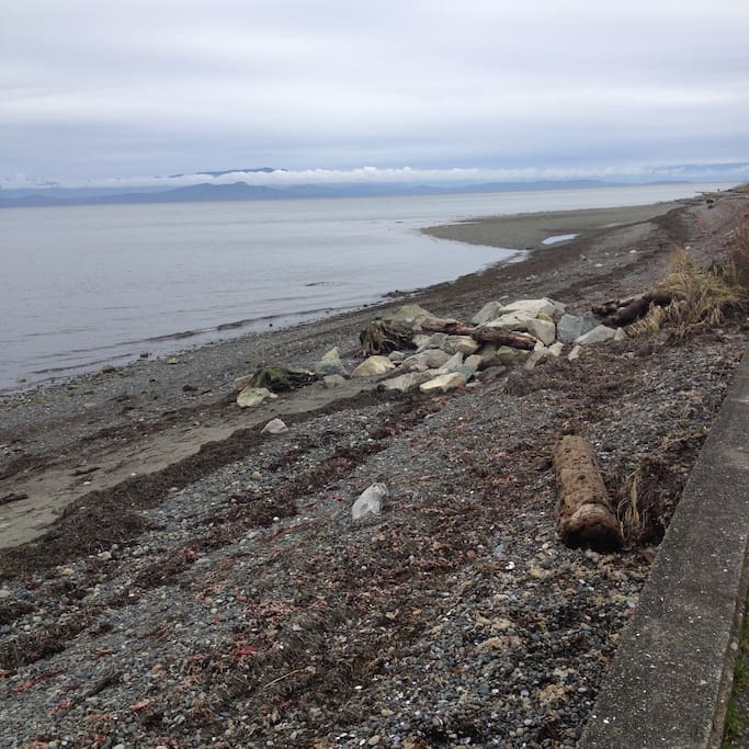 Winter tranquility along beach boardwalk.