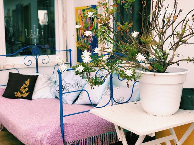 Color sweetness, Chambers of charm 3 km beaches