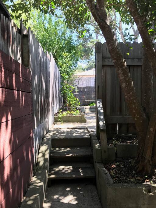 Pathway to studio