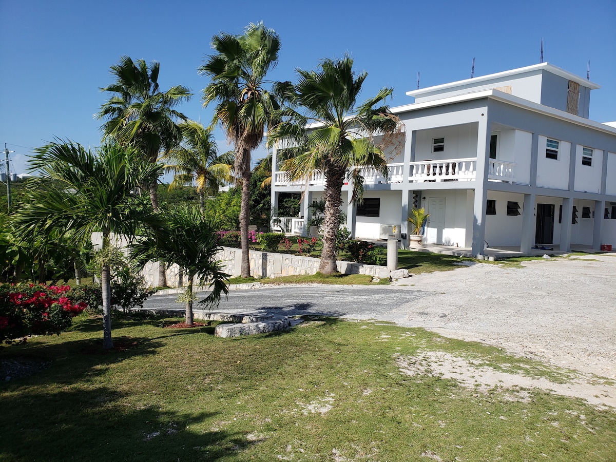 The exterior of Villa Delight is highlighted by a multi-story structure surrounded by lush palm trees. A gravel pathway leads to the entrance, framed by vibrant flowering shrubs. The well-maintained lawn provides a serene setting in a central location.