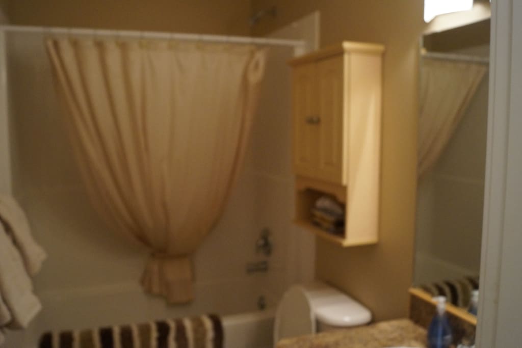 Main 4-piece bathroom