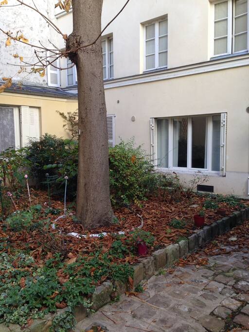 The appartment is behind the tree, in a quiet garden