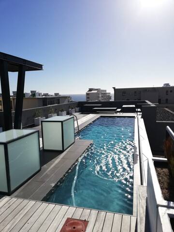 Cape Town Sea point Heart of the Cape gallery image 3