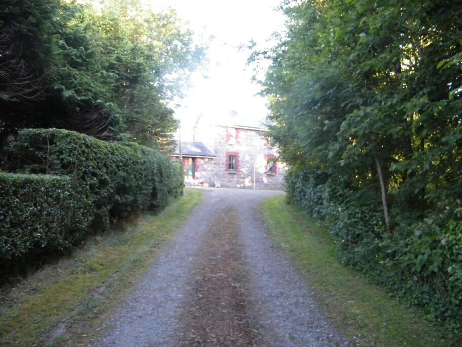 Drive Way Up