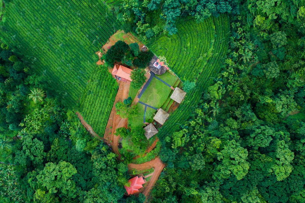 Arial View of the property