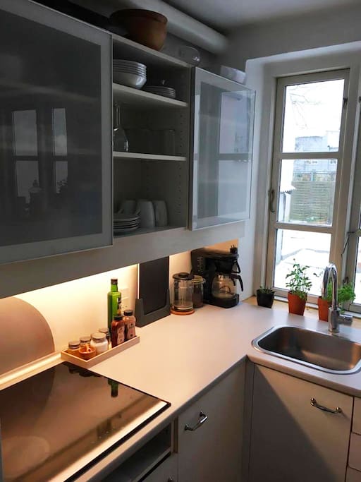 Cosy little kitchen with coffee machine, stow, combi-oven and a large fridge with freezer.