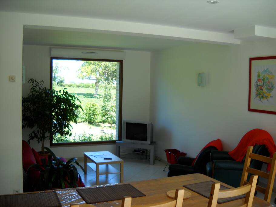 Un salon en contre-bas avec une vitre panoramique donnant sur le jardin. Equipé d'un canapé cuir et de fauteuils + TV