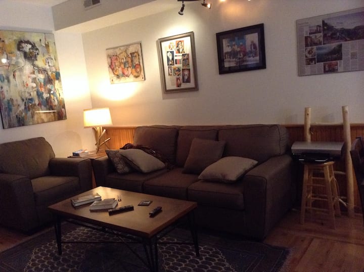 Quiet Nice And Clean Apartment Downtown Buffalo - Buffalo, NY