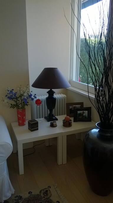 A detail of the linving room .