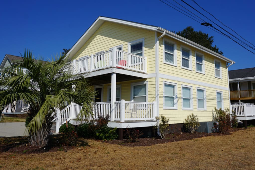 Palm Tree,Tree,Building,Cottage,High Rise