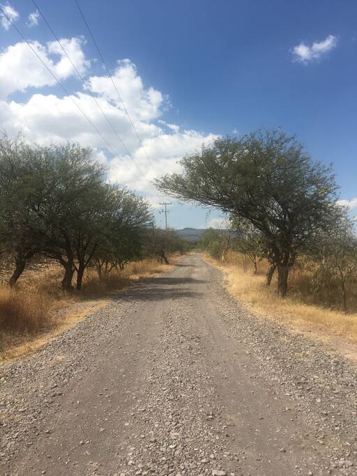 Camino de aprox. 1 Km (de la carretera Celaya-Salvatierra, hacia la casa)