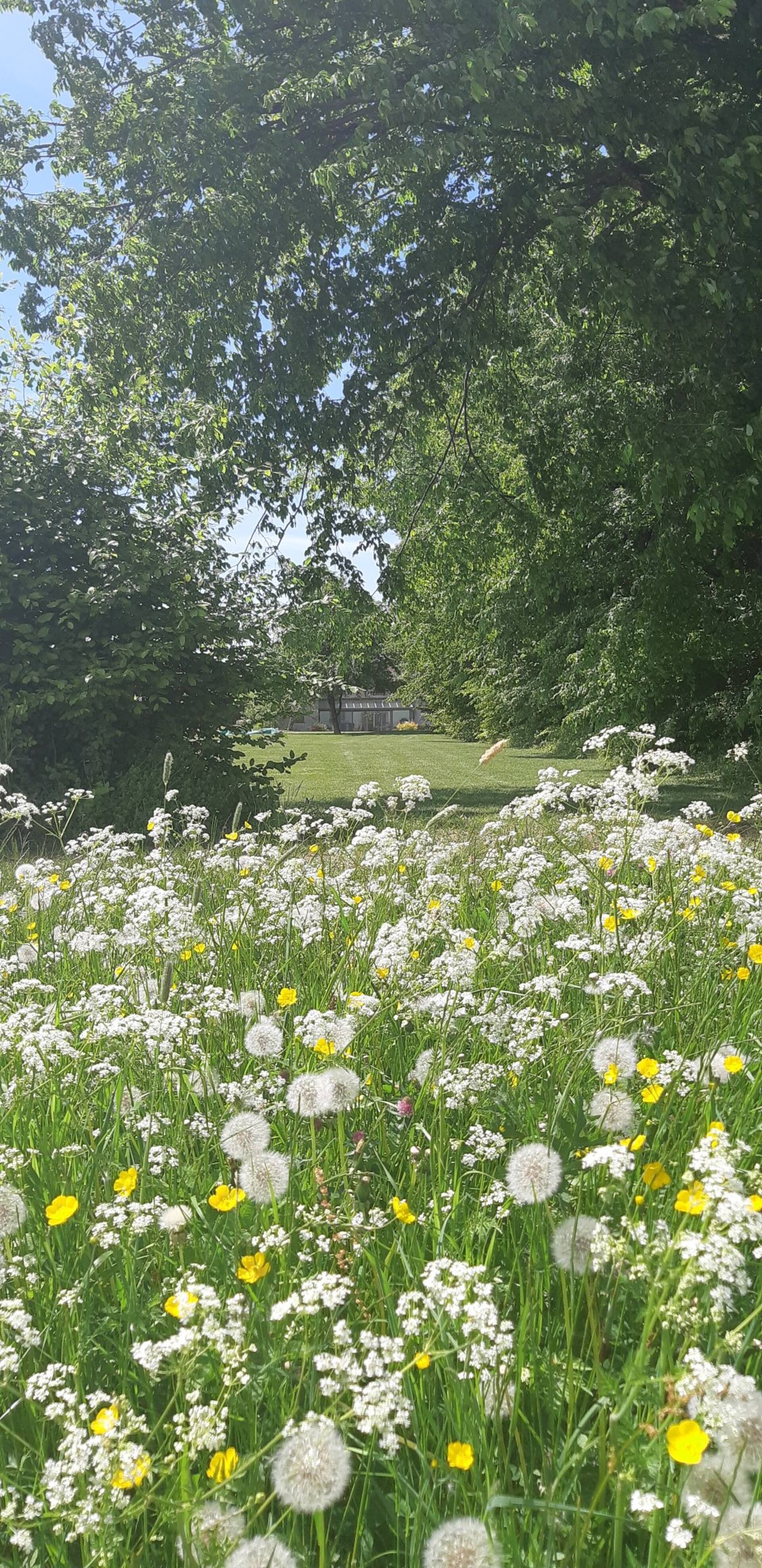 L'Antre Parenthèse de Sainte-Cécile — photo 5