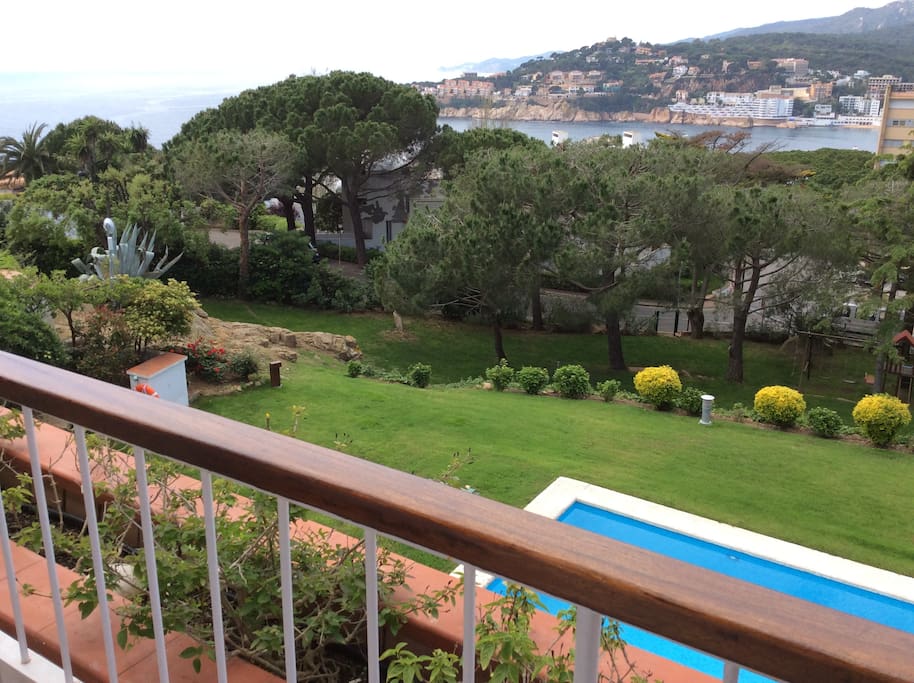 Terrace views+pool