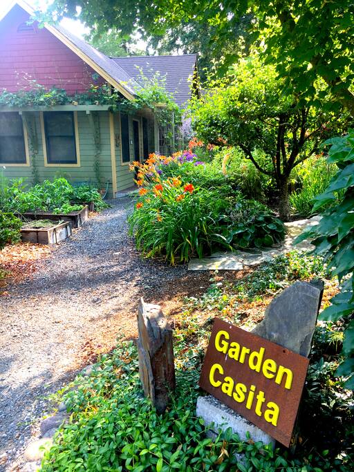 Through the garden