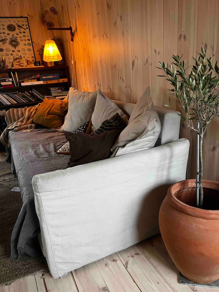 Rozkladacia pohovka v obývacej izbe môže byť ustlaná na dvojlôžko. V obývačke nie sú žiadne závesy. 