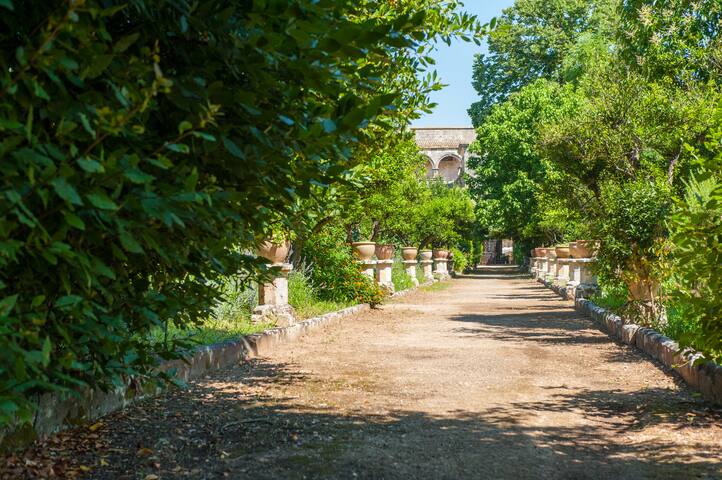 Masseria della quercia