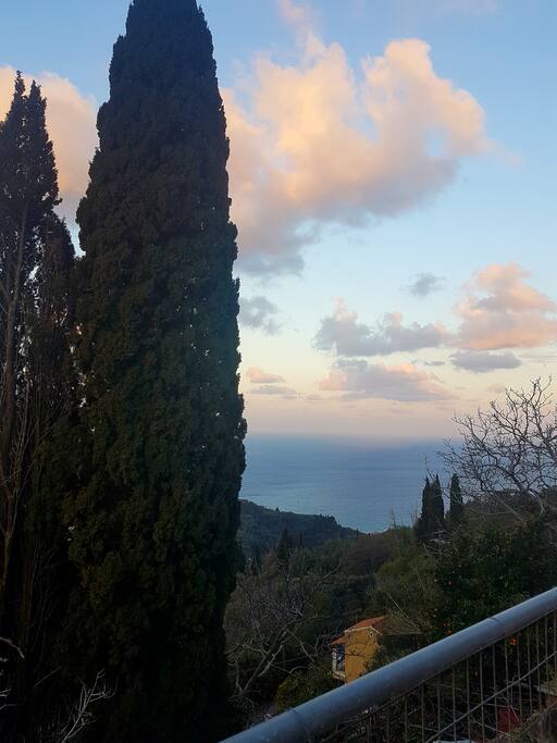 view outside the house